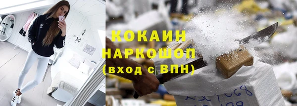 крисы Алзамай
