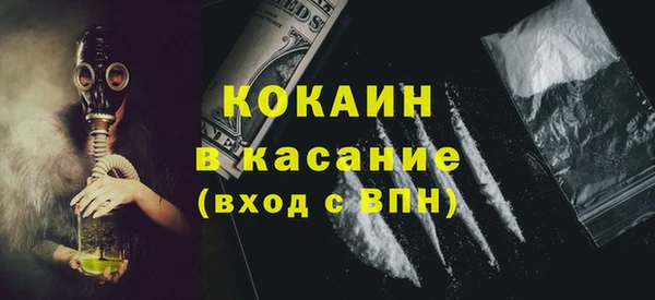 крисы Алзамай