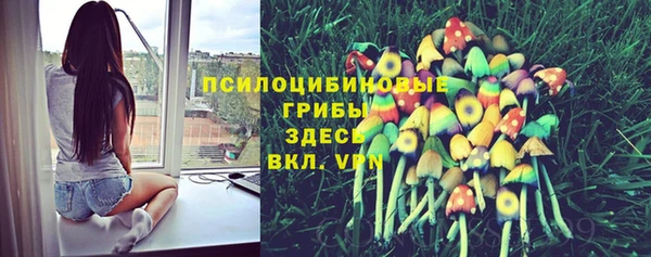 крисы Алзамай
