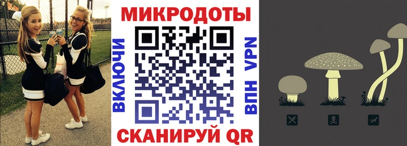 Галлюциногенные грибы мухоморы  дарнет шоп  Чайковский 