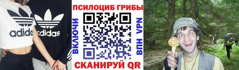 Галлюциногенные грибы GOLDEN TEACHER Чайковский